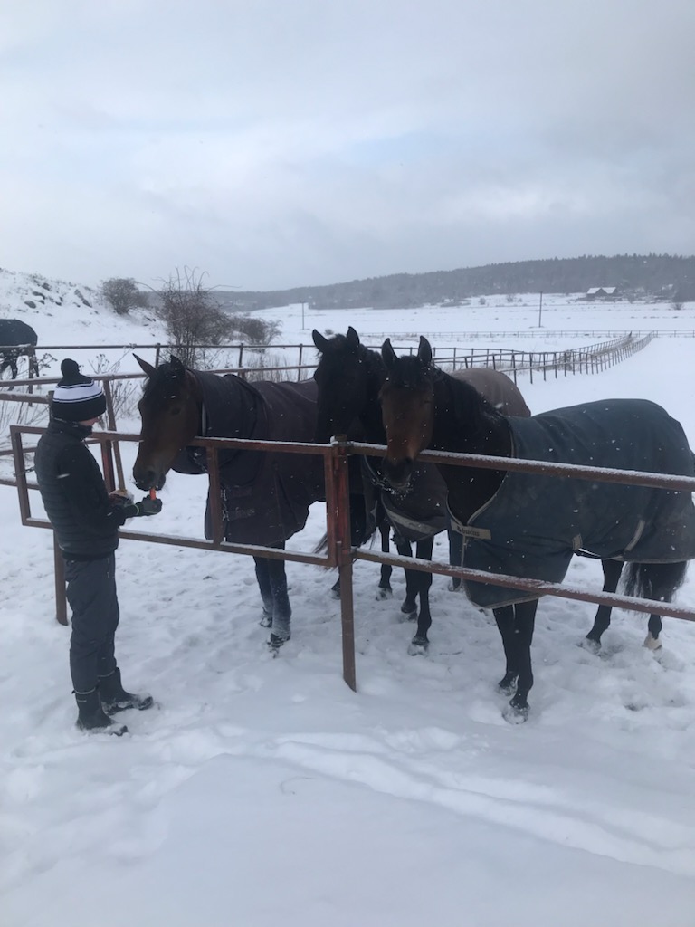 Besök på Östuna gård 250215 hos Ville Karhulahti och Admire Thyself