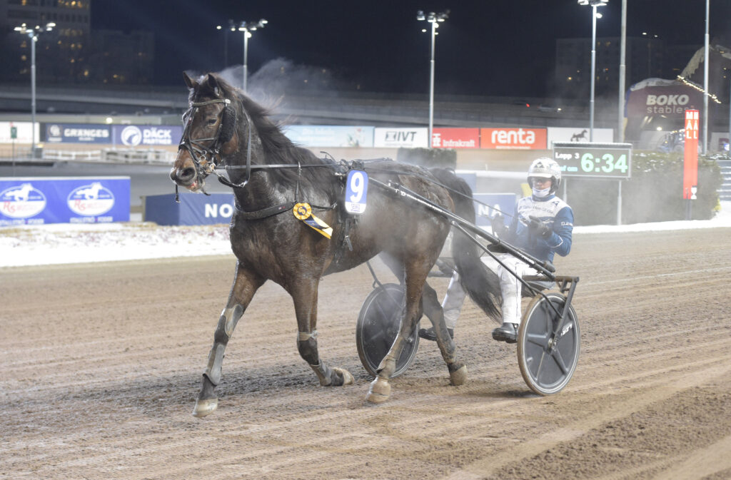 ”En lyckad bytesaffär” – Månadens hästägare januari 2026