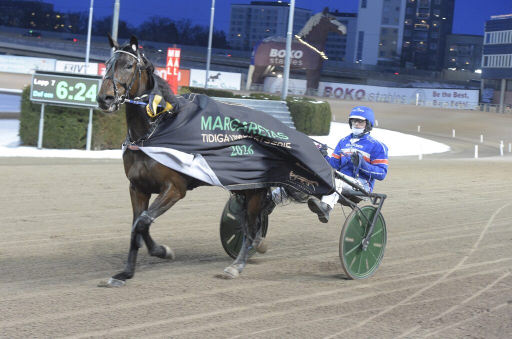 Från ”lappojke” via Travsafari till Solvalla – Månadens hästägare februari 2026